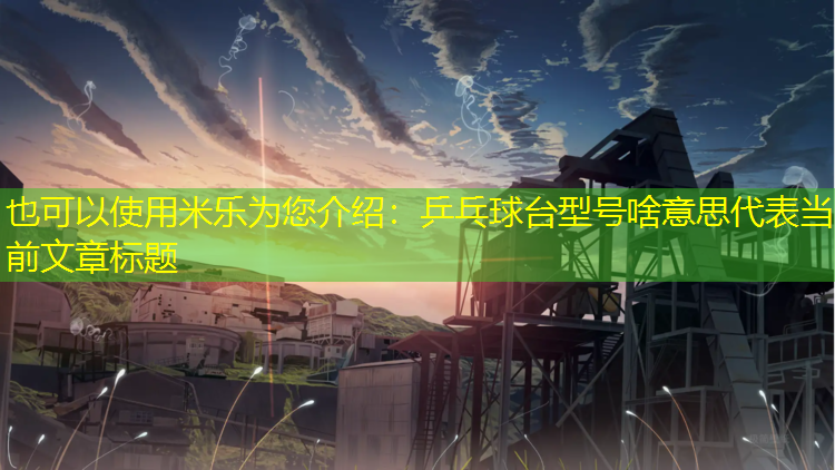 乒乓球台型号啥意思